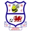 Holyhead Hotspur